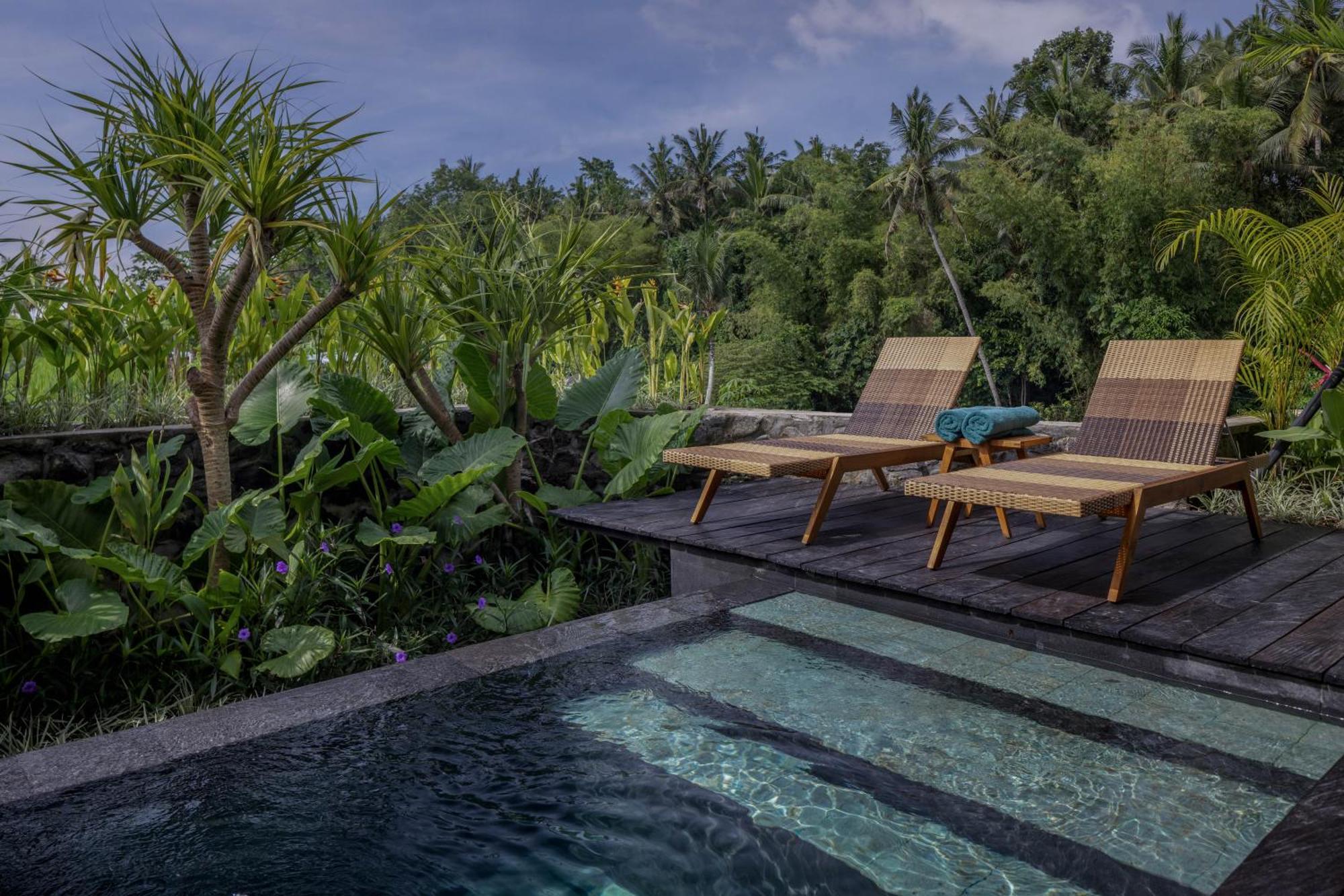 Gdas Bali Health And Wellness Resort - Adult Only Ubud Buitenkant foto