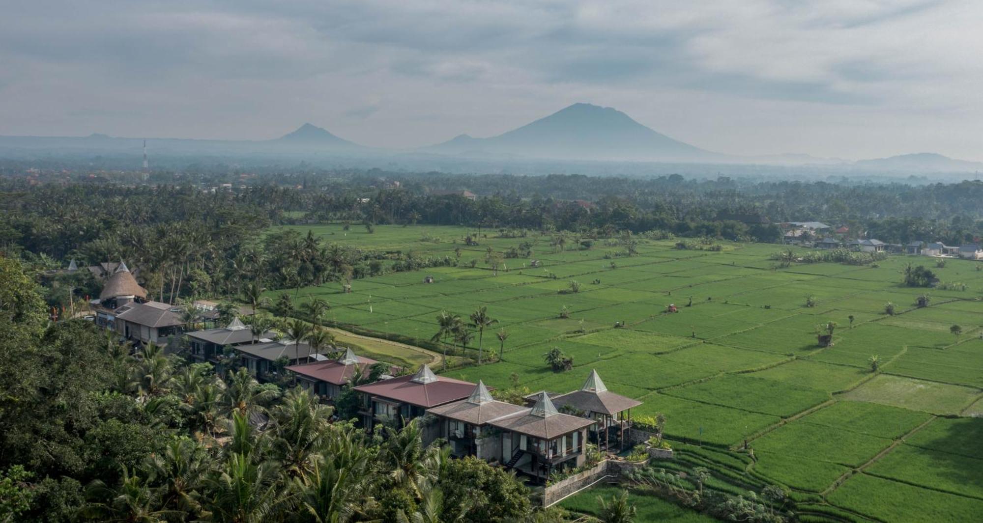 Gdas Bali Health And Wellness Resort - Adult Only Ubud Buitenkant foto